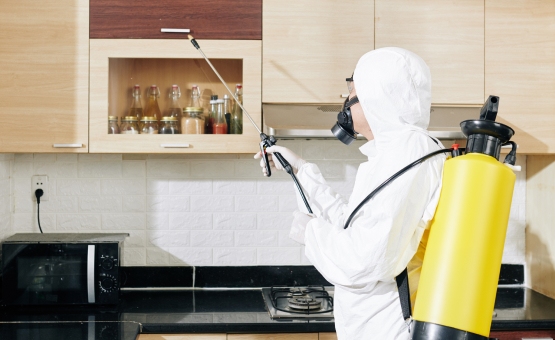 خدمة مكافحة الذباب والناموس